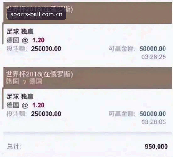 博球使用体验 世界杯买球平台新手实用指南:从注册到投注的完整使用体验分享